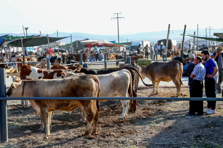 Kurban Bayramı'nda Meram'da Hizmet Seferberliği