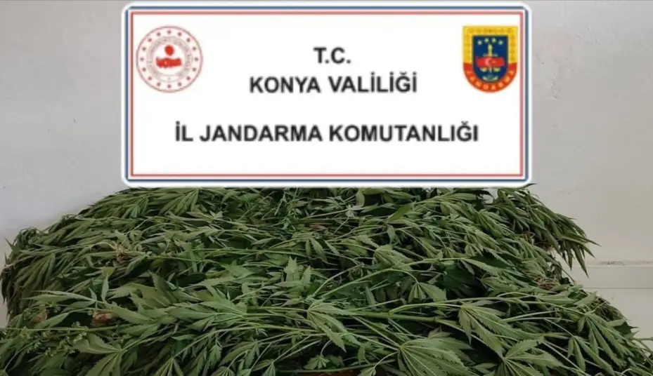 Konya’da jandarmadan uyuşturucu operasyonları 