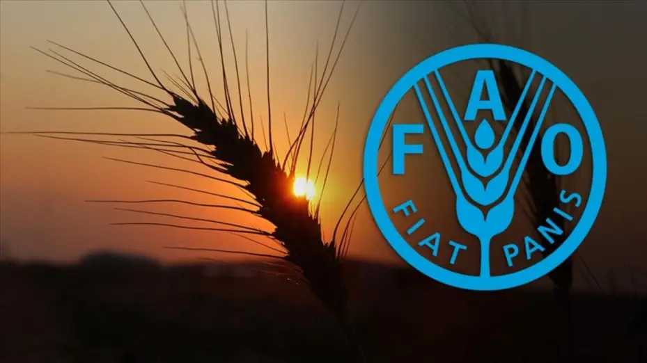 Türkiye FAO Konseyi üyeliğine seçildi