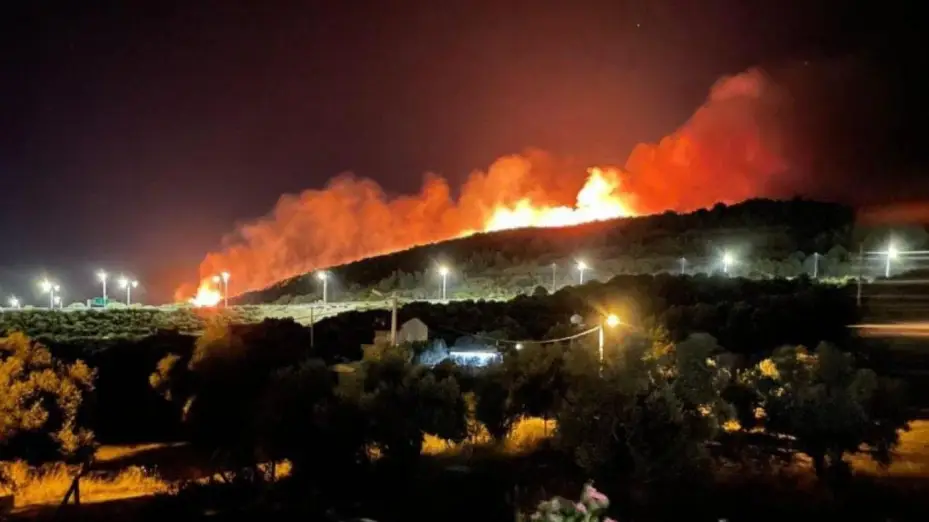 Seyitgazi’de orman yangınıyla ilgili Vali Aksoy’dan açıklama
