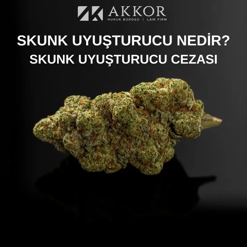 Esenyurt’ta 144 kilogram skunk maddesi ele geçirildi