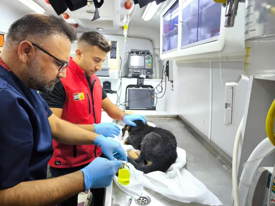 Konya Büyükşehir İtfaiyesi'nden Yürekleri Isıtan Kurtarma Operasyonu