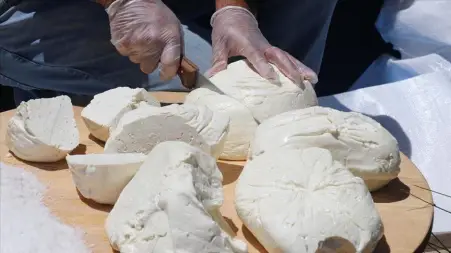 Erzincan tulum peyniri AB’den coğrafi işaret tescili aldı
