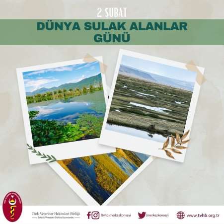 TVHB’den Dünya Sulak Alanlar Günü’ne ilişkin açıklama