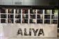 “Aliya 100 Yaşında: Hayat, Fikir, Mücadele” Sergisi Tantavi Kültür ve Sanat Merkezi'nde Kapılarını Açtı