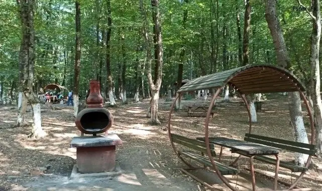 Karaman’da ormanlık alanlarda piknik yapmak 3.5 ay süreyle yasaklandı