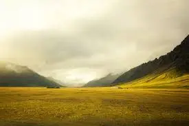 Arazi anlaşmazlığı cinayetle sonuçlandı
