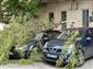 Rüzgarda kırılan ağaç dalı otomobillerin üzerine düştü