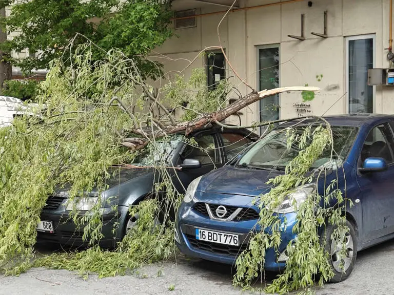 Rüzgarda kırılan ağaç dalı otomobillerin üzerine düştü