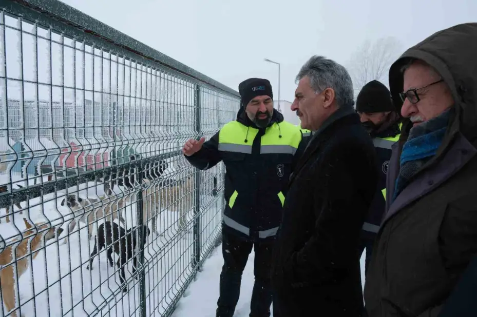 Türkiye’ye örnek olacak ‘Evcil Köy’ projesi Yozgat’ta şekilleniyor