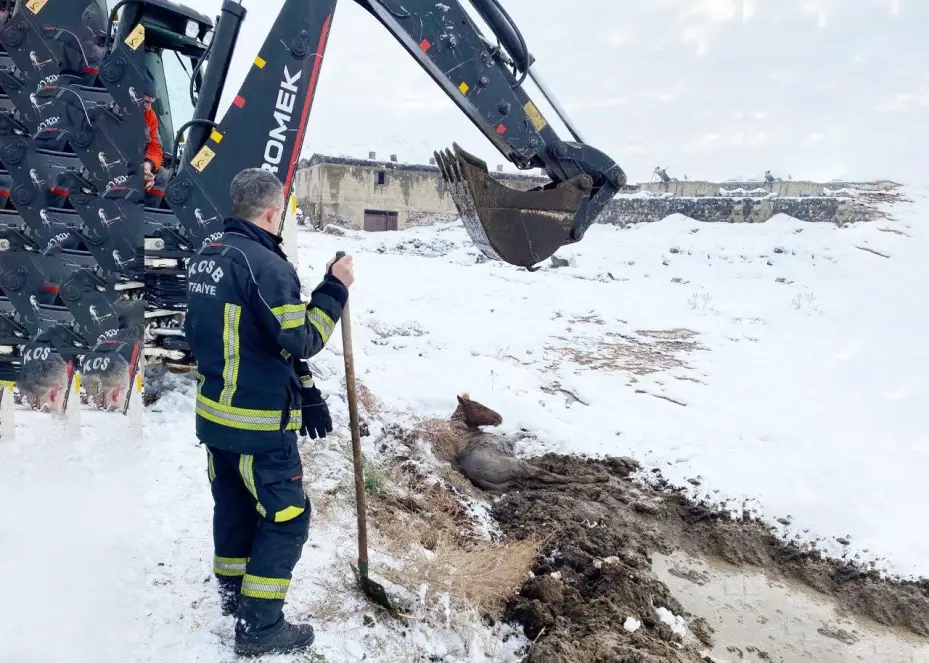 Kayseri OSB İtfaiyesi bataklığa saplanan yılkı atını kurtardı
