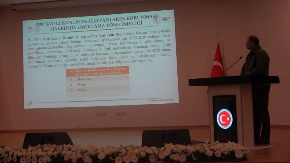 Sokağa bırakılan hayvan başına 71 bin 965 TL idari para cezası uygulanacak