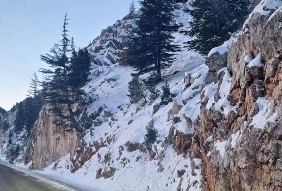 Yaban keçileri, yiyecek bulmak için Seydişehir-Antalya kara yoluna indi