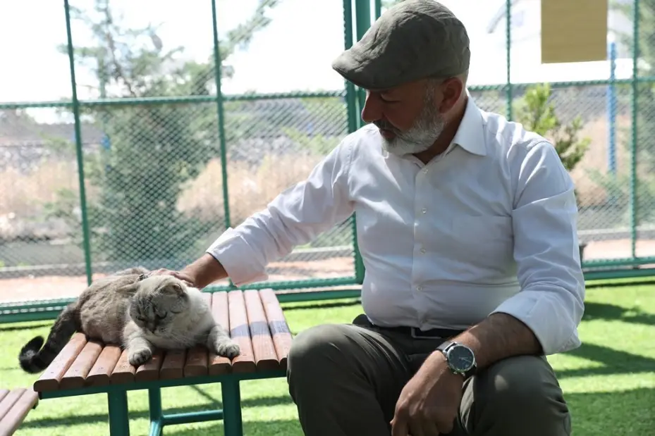 Kayseri’de ilk olan Küçük Dostlar Kedi Kasabası’na rekor ziyaret