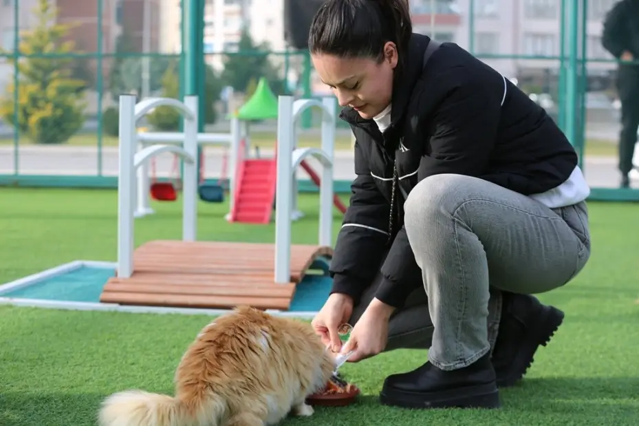 Kayseri’de ilk olan Küçük Dostlar Kedi Kasabası’na rekor ziyaret