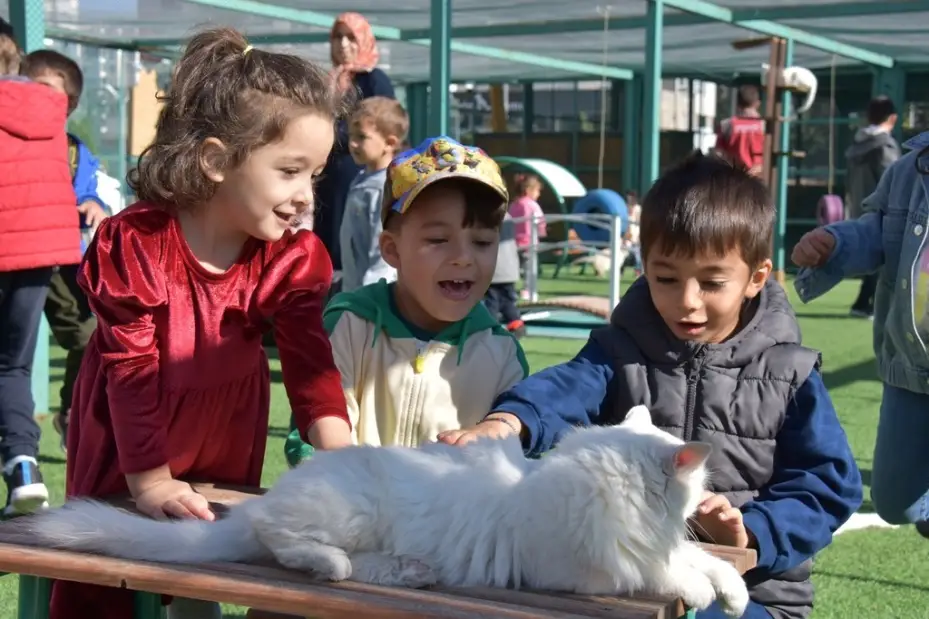Kayseri’de ilk olan Küçük Dostlar Kedi Kasabası’na rekor ziyaret