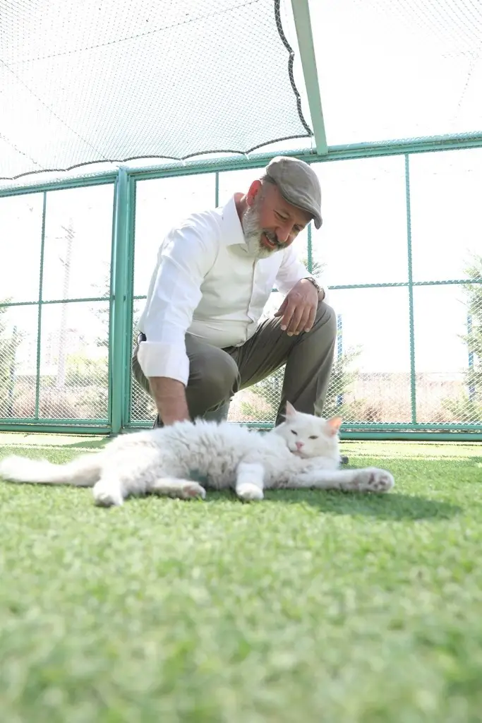 Kayseri’de ilk olan Küçük Dostlar Kedi Kasabası’na rekor ziyaret