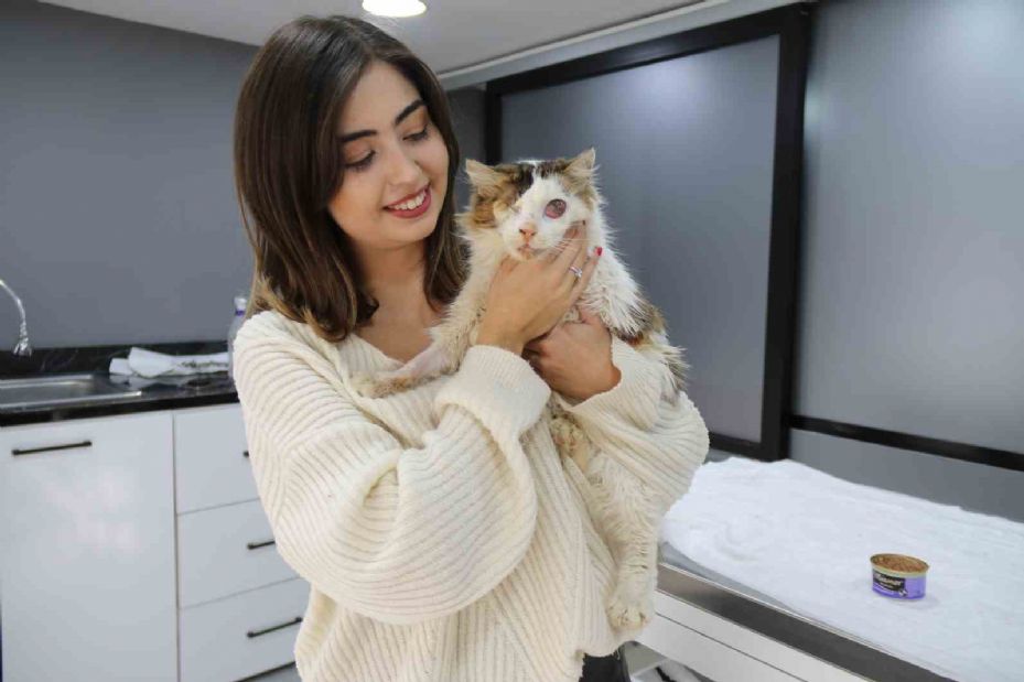 Yaralı kedi tek gözüyle hayvan severler sayesinde hayata tutundu