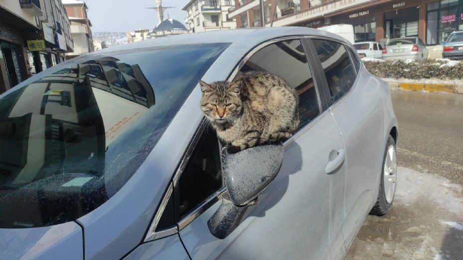 Çekerek’te kartpostallık kar manzaraları oluştu