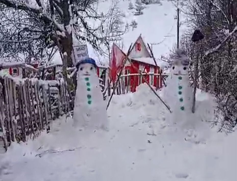 Tek başına yaşadığı köyde kardan ordu kurdu