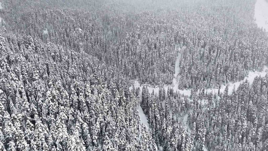 Karlar altındaki Ilgaz ormanları havadan görüntülendi