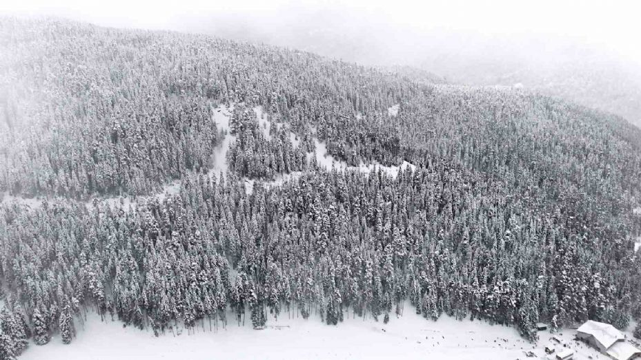 Karlar altındaki Ilgaz ormanları havadan görüntülendi