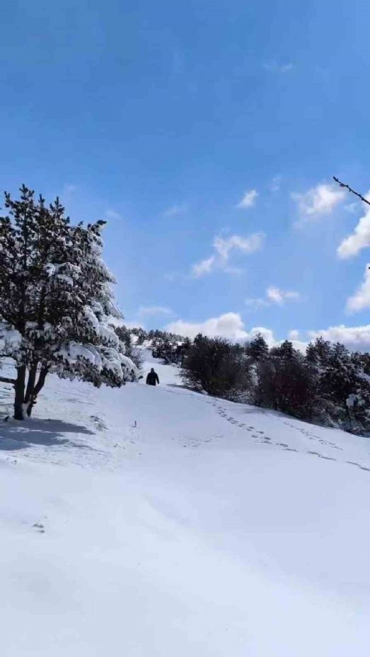 Soğuk kış aylarında Elmadağ esnafı yabani hayvanları unutmadı