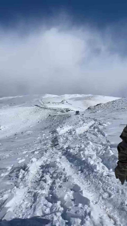 Soğuk kış aylarında Elmadağ esnafı yabani hayvanları unutmadı