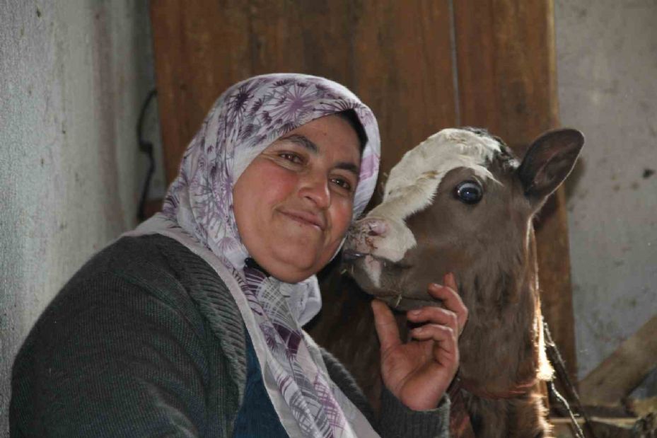 Fedakar anne: Çocuklarına bakar gibi hayvanlarını besleyip ailesine destek oluyor