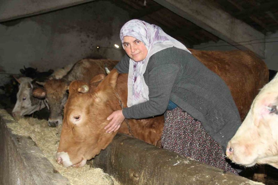 Fedakar anne: Çocuklarına bakar gibi hayvanlarını besleyip ailesine destek oluyor