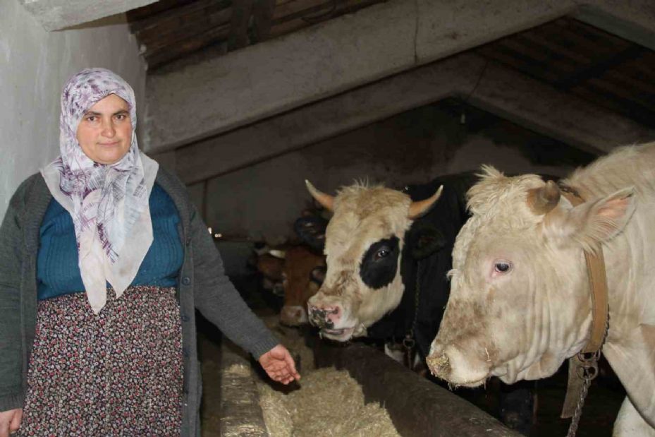 Fedakar anne: Çocuklarına bakar gibi hayvanlarını besleyip ailesine destek oluyor