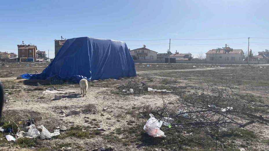 Sokak köpeklerinin saldırısında çocuğun öldüğü arazi görüntülendi