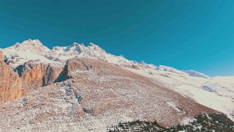 Dağ keçilerinin kış yolculuğu havadan görüntülendi