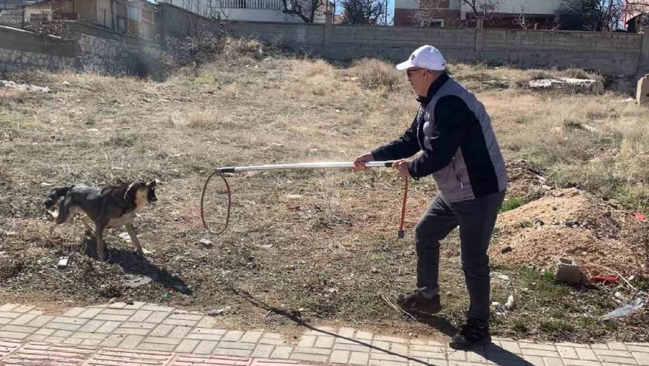 Karaman’da köpeğin saldırısından oğlunu kurtarmak isteyen baba yaralandı