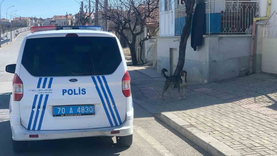 Karaman’da köpeğin saldırısından oğlunu kurtarmak isteyen baba yaralandı