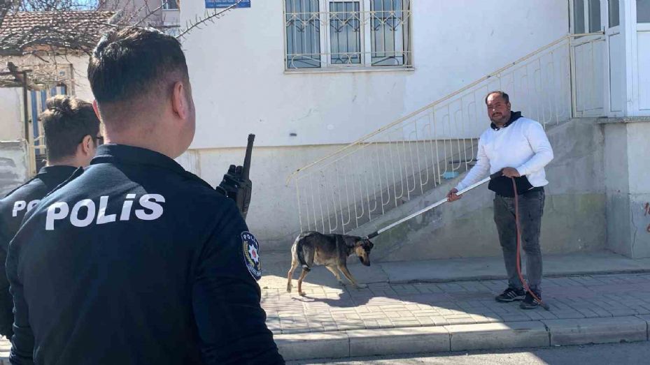 Karaman’da köpeğin saldırısından oğlunu kurtarmak isteyen baba yaralandı