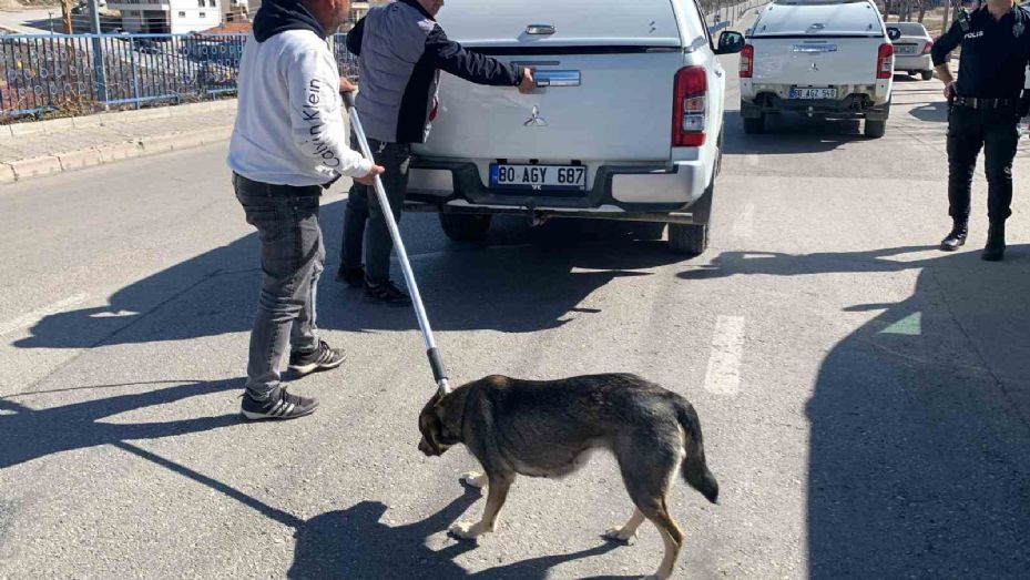 Karaman’da köpeğin saldırısından oğlunu kurtarmak isteyen baba yaralandı