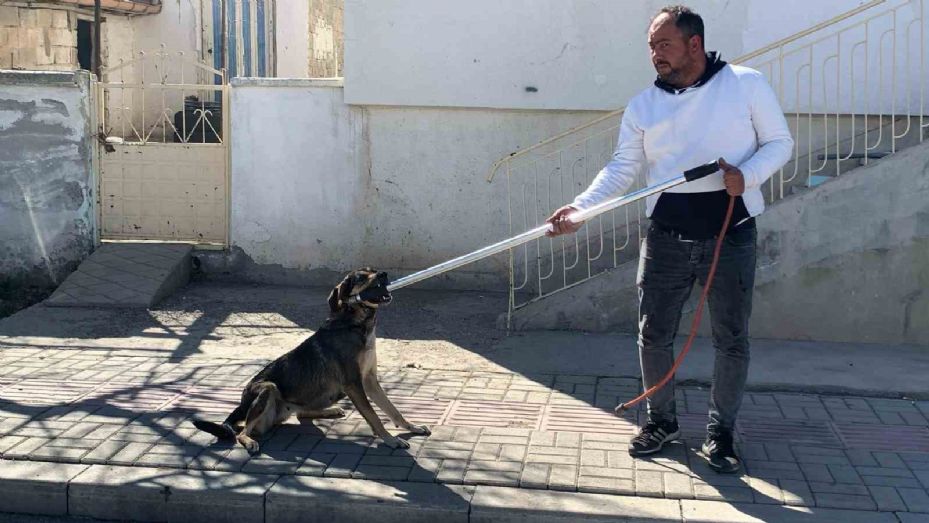 Karaman’da köpeğin saldırısından oğlunu kurtarmak isteyen baba yaralandı