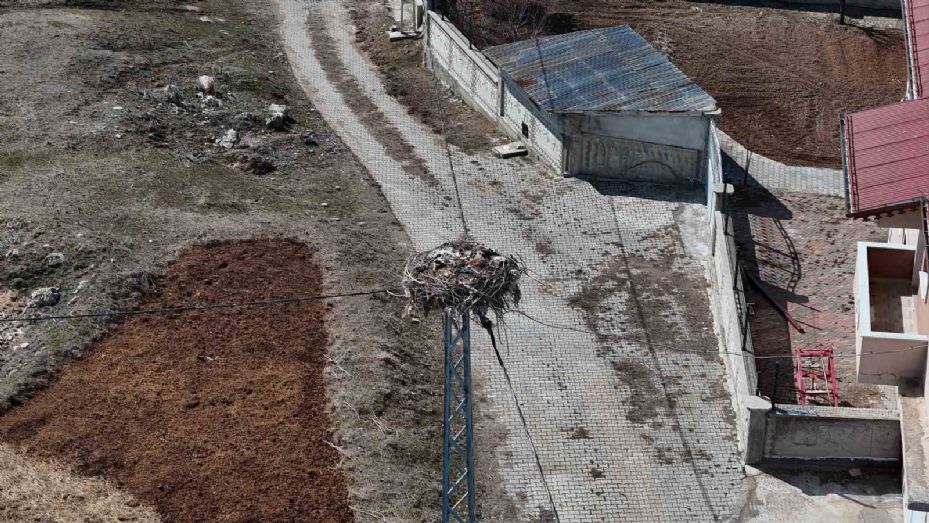 Sivas’ın ‘Leylekli köyü’, baharın müjdeleyicilerini bekliyor