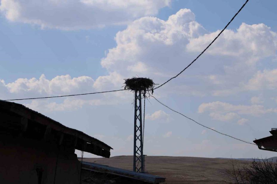 Sivas’ın ‘Leylekli köyü’, baharın müjdeleyicilerini bekliyor