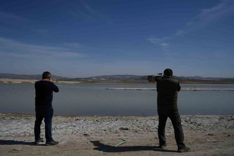 Ankara’da konaklayan flamingoların yaşam alanı tehdit altında