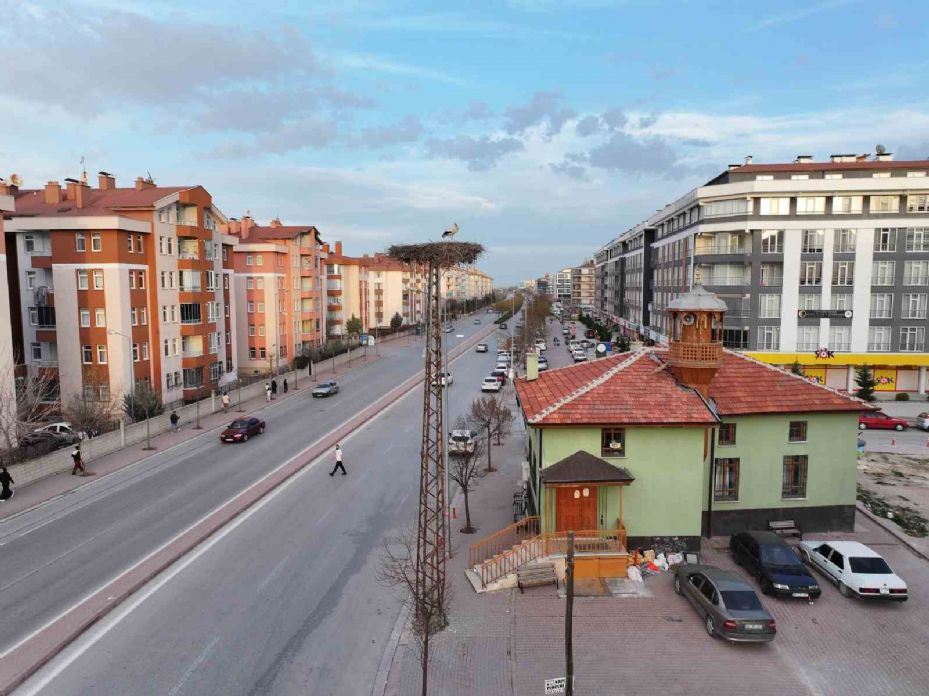 Konya’nın Yaren leylekleri geldi