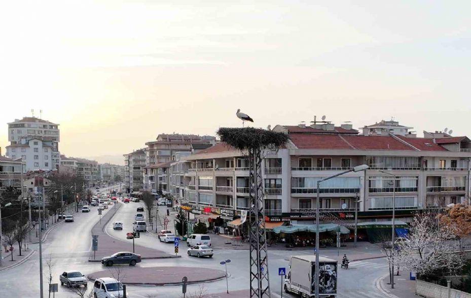 Konya’nın Yaren leylekleri geldi