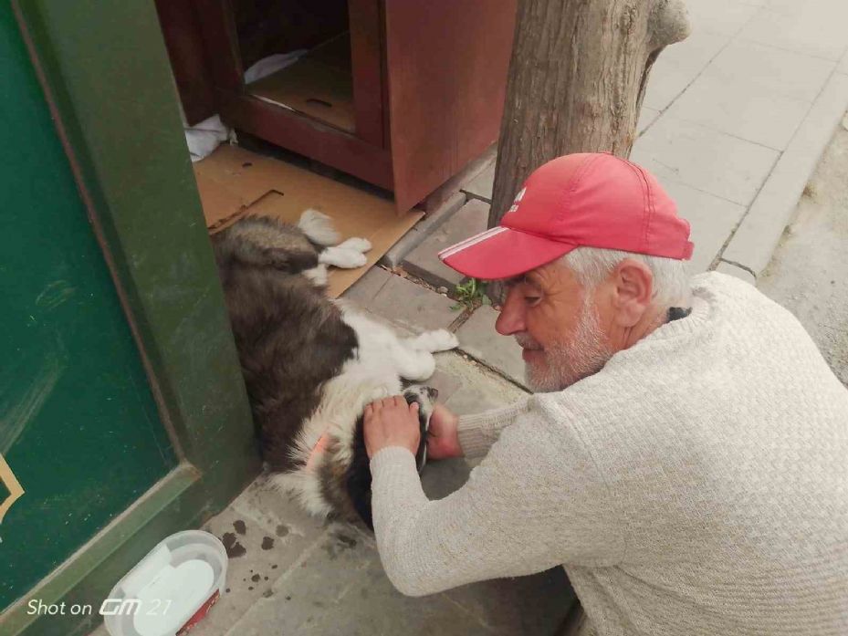 Taksi durağında sahiplendiği köpeğe çocuğu gibi bakıyor