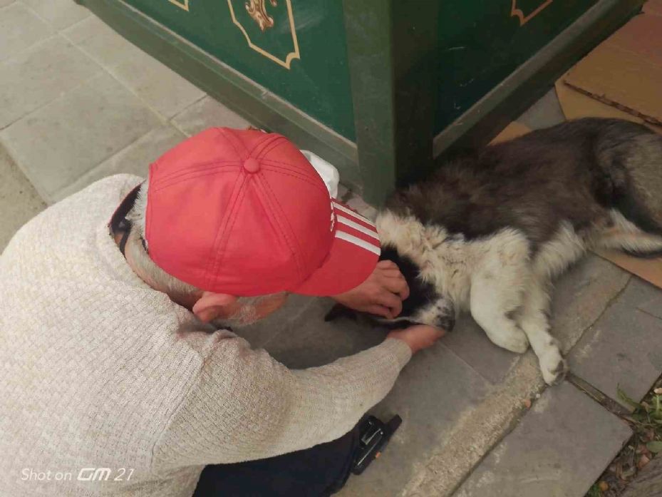 Taksi durağında sahiplendiği köpeğe çocuğu gibi bakıyor