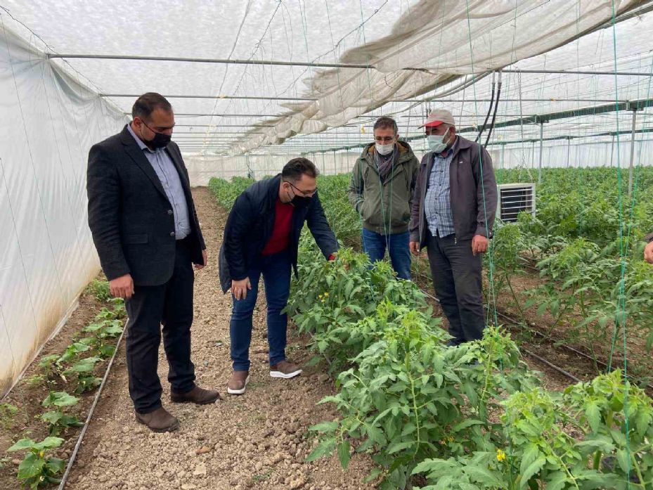 Jeotermal seracılık maliyetini en aza indiren buluş