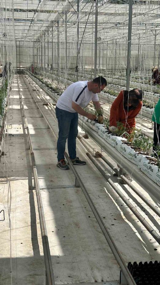 Jeotermal seracılık maliyetini en aza indiren buluş