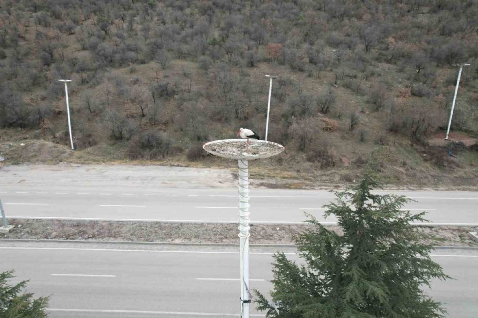 Leylek Apartmanı sakinleri yuvalarına döndü