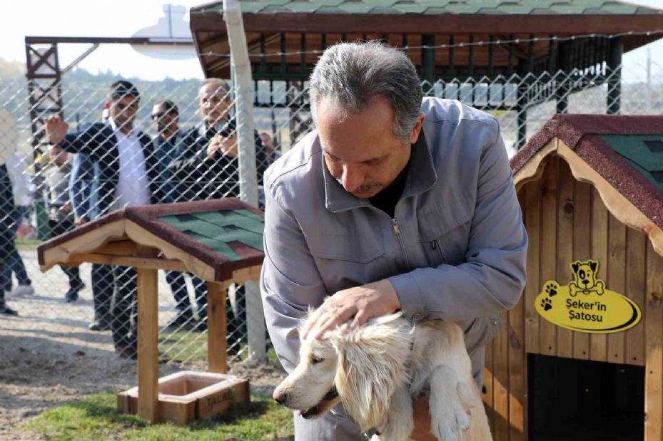 Türkiye’ye örnek ‘Pati Evi’ Talas’ta