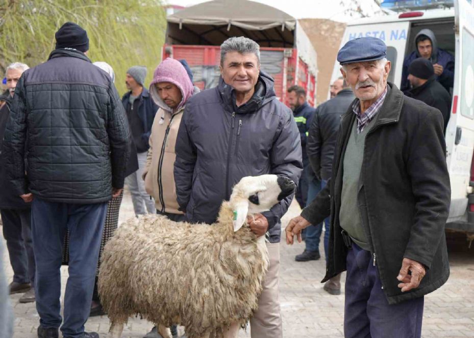 Kadın girişimcinin büyük azmi: Kendisi küçükbaş hayvan üreticisi, kocası çoban